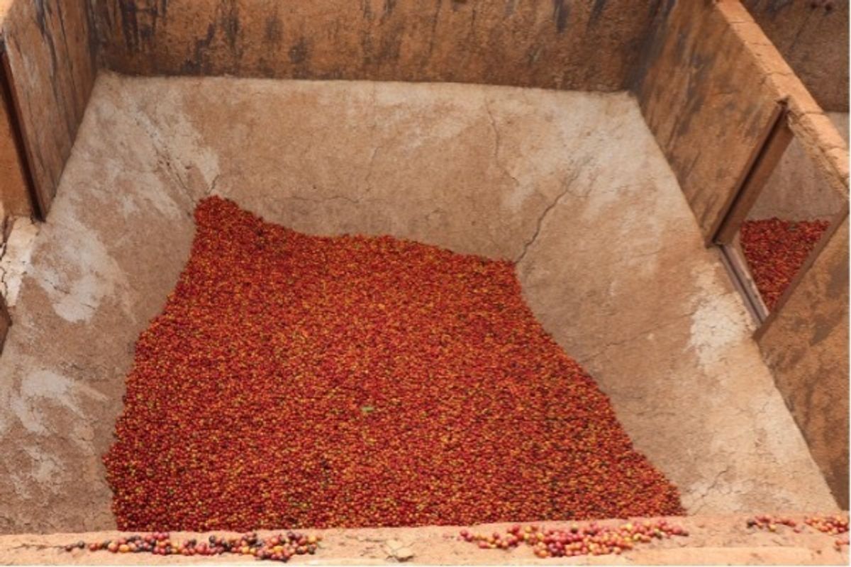 Kenya AB Ruera