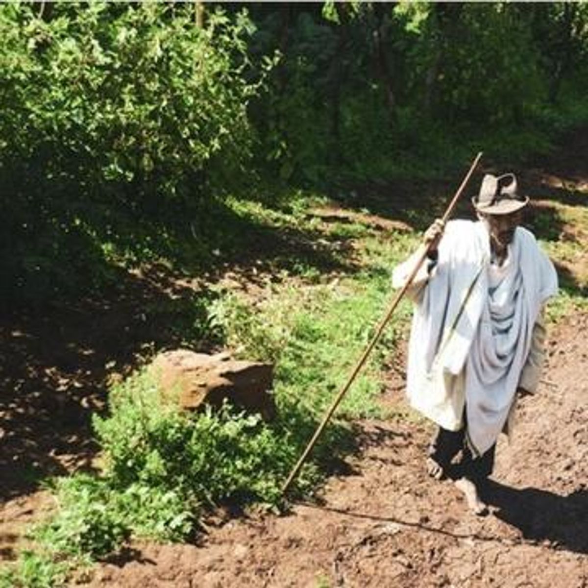 Påskekaffe Fruktig Etiopia Sasaba