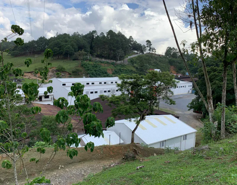 Guatemala Alta Verapaz økologisk